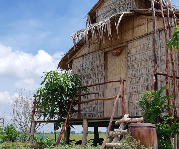 64402221_2283498701730346_8843691559179255808_o